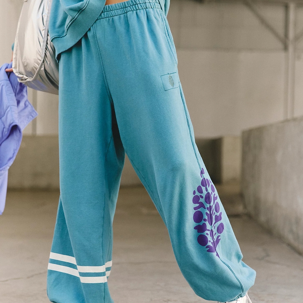 Free People Blue and Purple Track Pants Relaxed Fit - Picture 6 of 6